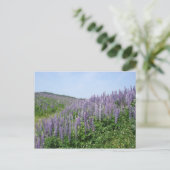 Lupine Valley Briefkaart (Staand voorkant)