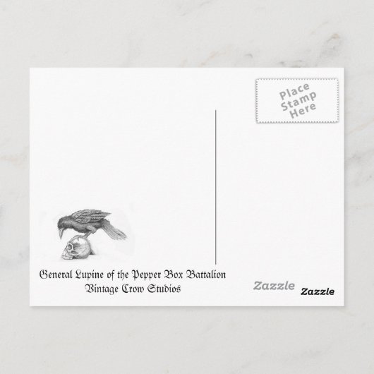 Lupine van het Pepperbox Bataljon Briefkaart (Achterkant)