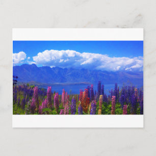 Lupine van Nieuw Zeeland van Queenstown over Meer Briefkaart