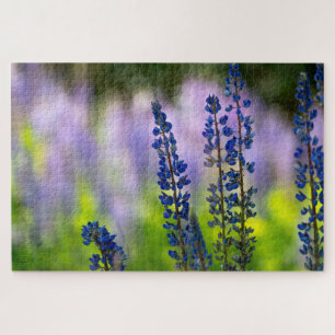 Lupine van Pacific Northwest Legpuzzel
