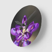 Lupine Wonder Ronde Klok (Hoek)