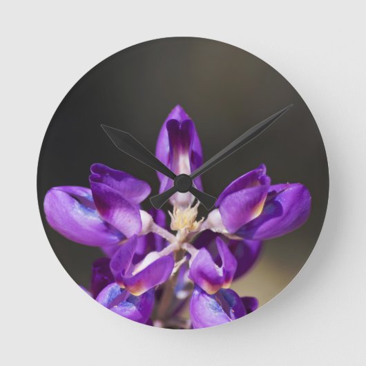 Lupine Wonder Ronde Klok (Voorkant)