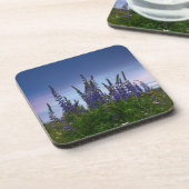 Lupinen  bier onderzetter (Linkerzijde)