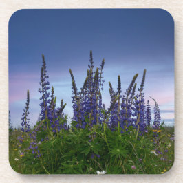 Lupinen  bier onderzetter