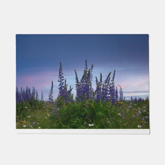 Lupinen   deurmat (Voorkant)