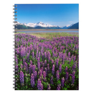 Lupinen in bloei Kenai-gebergte, Alaska Notitieboek
