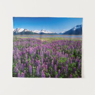 Lupinen in bloei Kenai Mountains, Alaska Wandkleed
