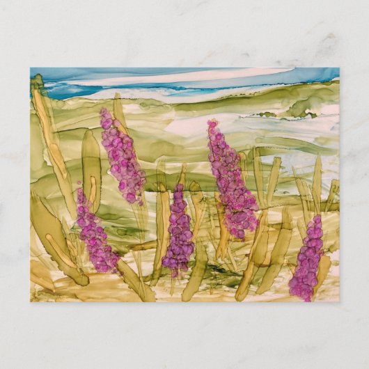 Lupinen in het wild briefkaart (Voorkant)