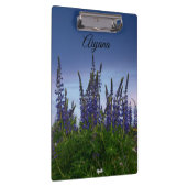 Lupinen Klembord (Rechts)