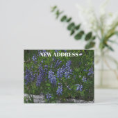 Lupinen Wonen Elders Briefkaart (Staand voorkant)