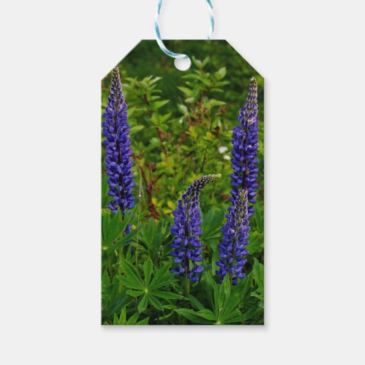 Lupines Cadeaulabel (Voorkant)