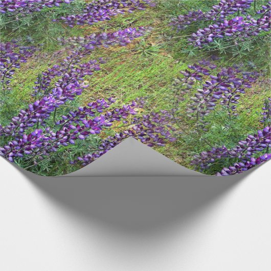 Lupines Galore... Cadeaupapier (Hoek)