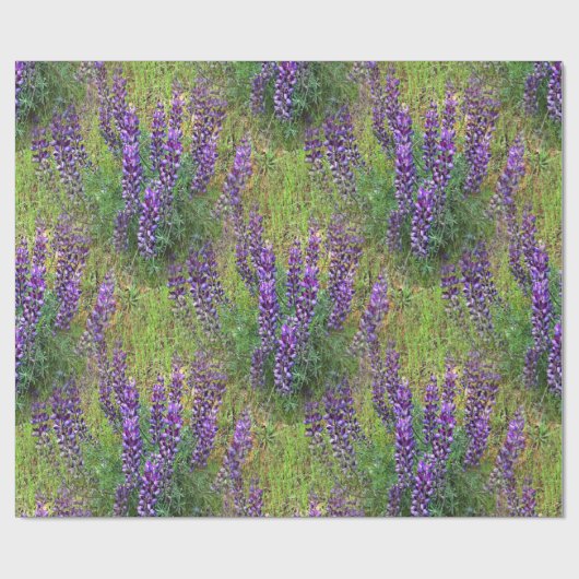 Lupines Galore... Cadeaupapier (Vlak)