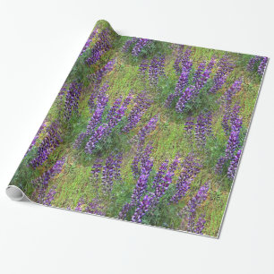 Lupines Galore... Cadeaupapier