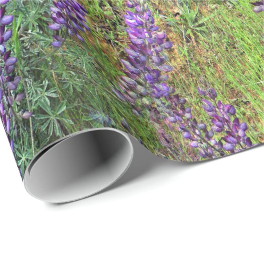 Lupines Galore... Cadeaupapier (Rol Hoek)