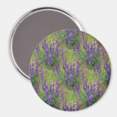 Lupines Galore... Magneet (Voorkant / Achterkant)