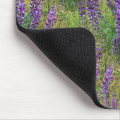 Lupines Galore... Muismat (Hoek)