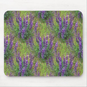 Lupines Galore... Muismat
