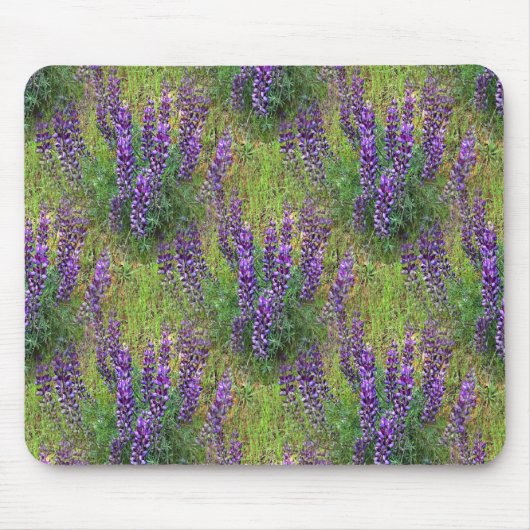 Lupines Galore... Muismat (Voorkant)
