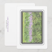 Lupines - Grote baai RD 2023 Notecards Notitiekaartje (Voorkant / Achterkant)