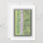 Lupines - Grote baai RD 2023 Notecards Notitiekaartje (Voorkant)