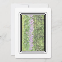 Lupines - Grote baai RD 2023 Notecards