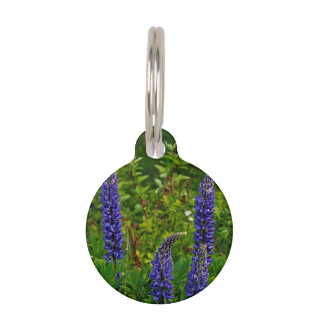 Lupines Huisdierpenning (Voorkant)