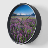 Lupines in Bloom | Keniaanse bergen, Alaska (Hoek)