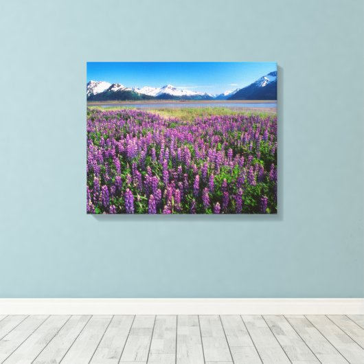 Lupines in Bloom | Keniaanse bergen, Alaska Canvas Afdruk (Insitu (Houten vloer))