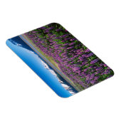 Lupines in Bloom | Keniaanse bergen, Alaska Magneet (Rechterzijde)