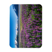 Lupines in Bloom | Keniaanse bergen, Alaska Magneet (Verticaal)