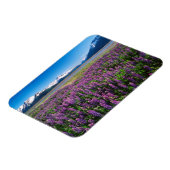 Lupines in Bloom | Keniaanse bergen, Alaska Magneet (Linkerzijde)