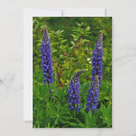 Lupines Kaart