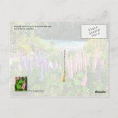 Lupines langs de Rio Azul, Argentinië Briefkaart (Achterkant)