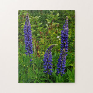 Lupines Legpuzzel