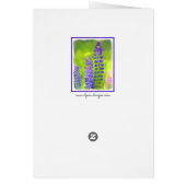 Lupineschildering - Oorspronkelijke blowerende kun (Achterkant)