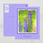 Lupineschildering - Oorspronkelijke blowerende kun Briefkaart (Voorkant / Achterkant)