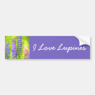 Lupineschildering - Oorspronkelijke blowerende kun Bumpersticker
