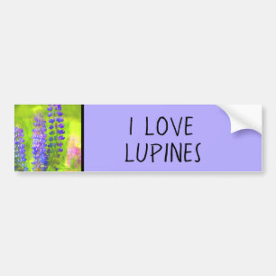 Lupineschildering - Oorspronkelijke blowerende kun Bumpersticker