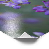 Lupineveld Foto Afdruk (Hoek)