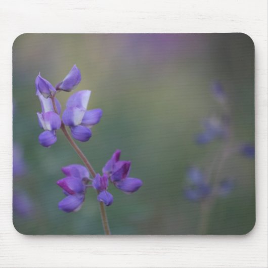 Lupineveld Muismat (Voorkant)