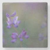 Lupineveld Stenen Onderzetter (Voorkant)