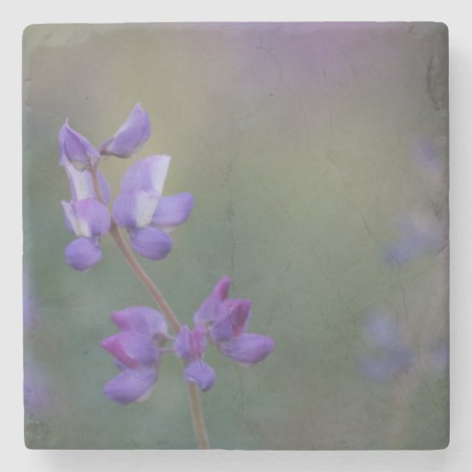 Lupineveld Stenen Onderzetter (Voorkant)