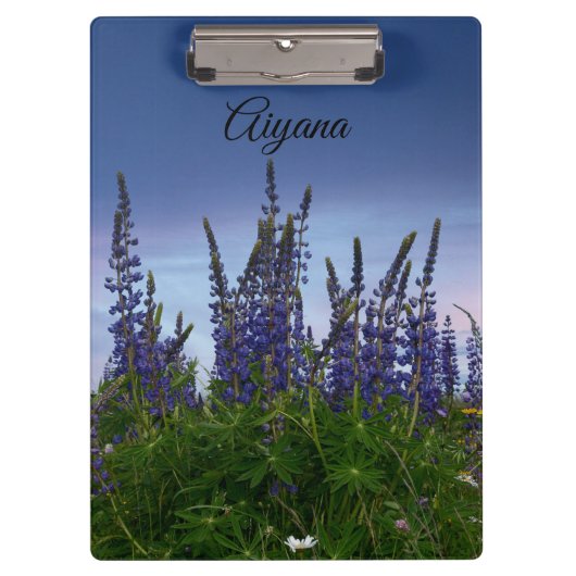 Lupins Klembord (Voorkant)