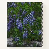 Lupins Notitieboek (Achterkant)