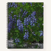 Lupins Notitieboek (Voorkant)