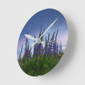 Lupins    ronde klok (Hoek)