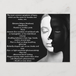 Lupus de stille vennoot... briefkaart