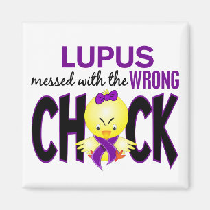 Lupus die met de verkeerde kuiken is gecommuniceer magneet