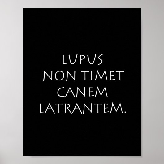 Lupus non timet canem latrantem poster (Voorkant)